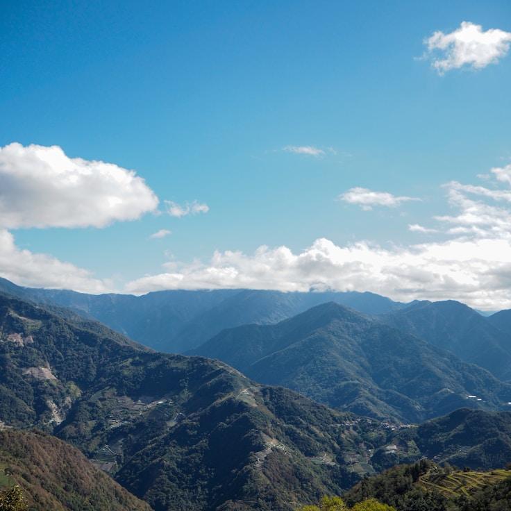 Family-friendly dining with comfortable seating