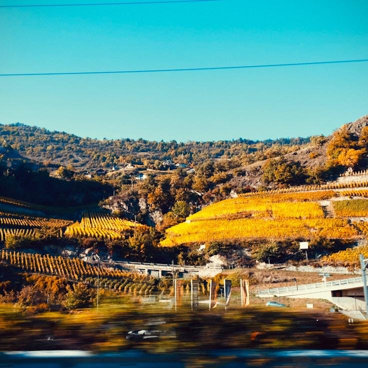 Outdoor terrace seating suitable for families in Düsseldorf